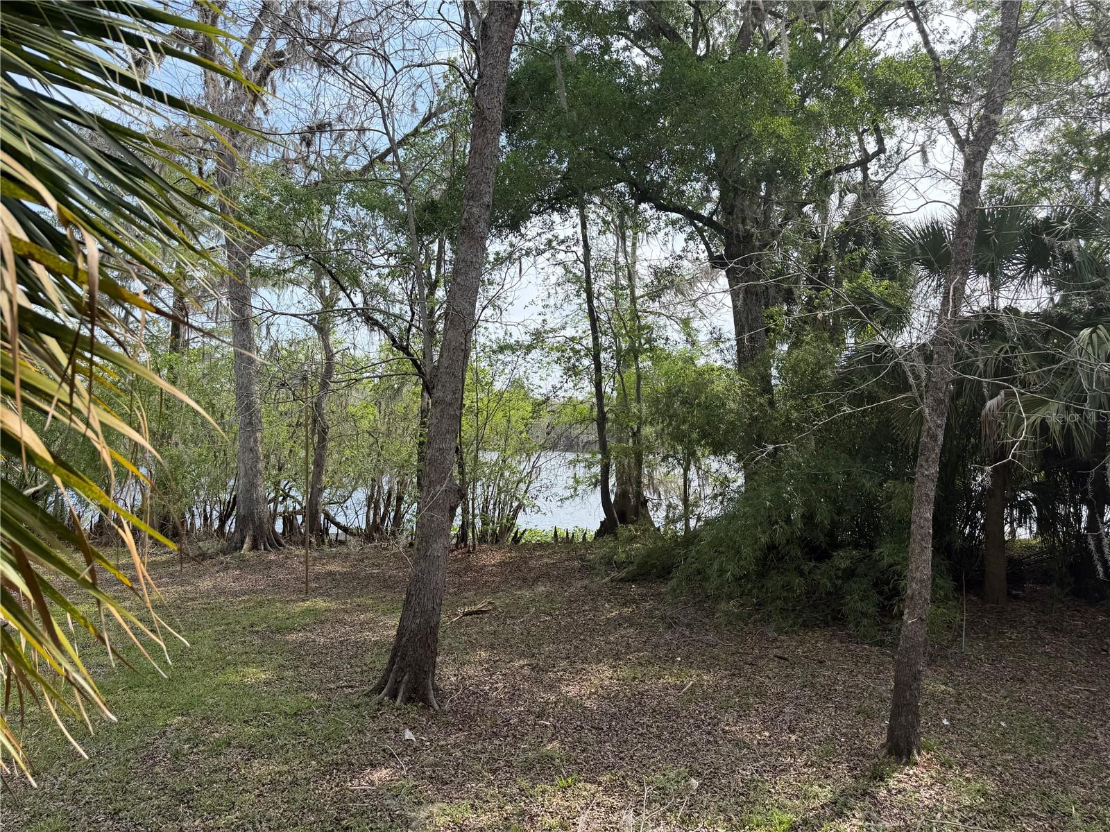 SUWANNEE RIVER - Residential