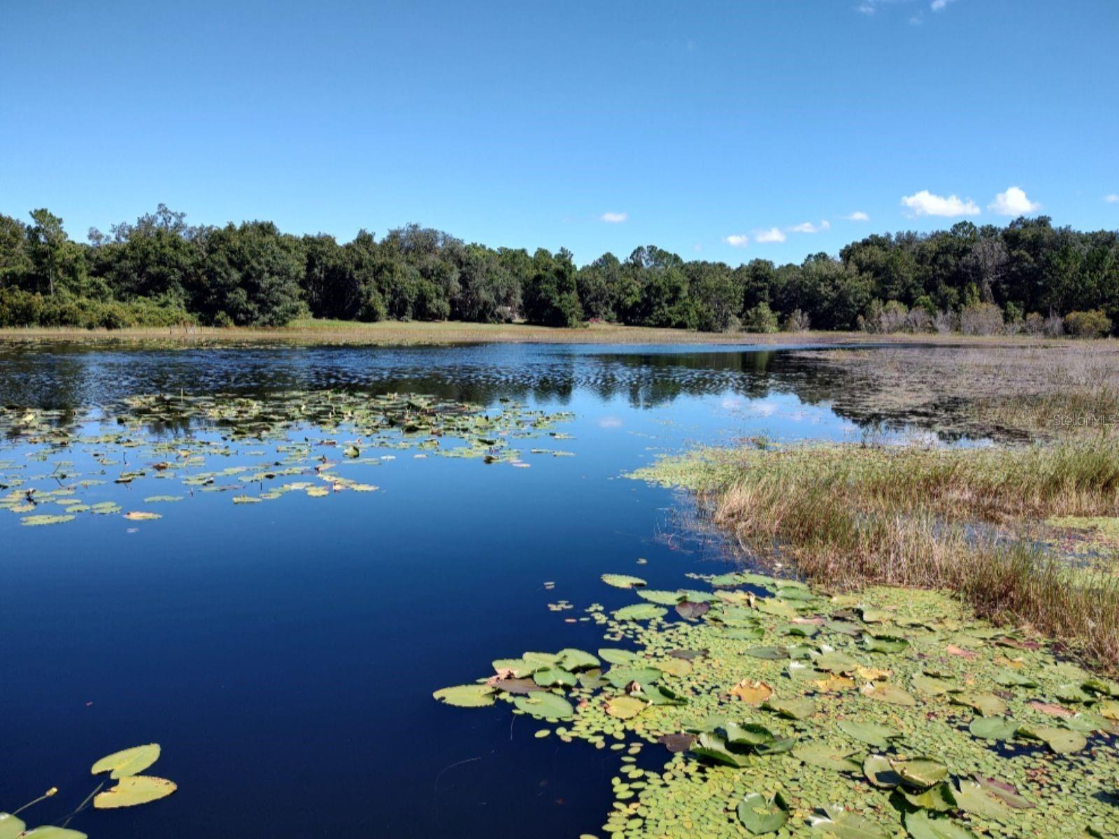 OAK COVE - Residential