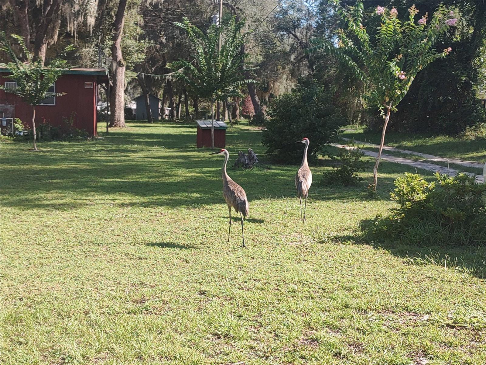 OAK COVE - Residential