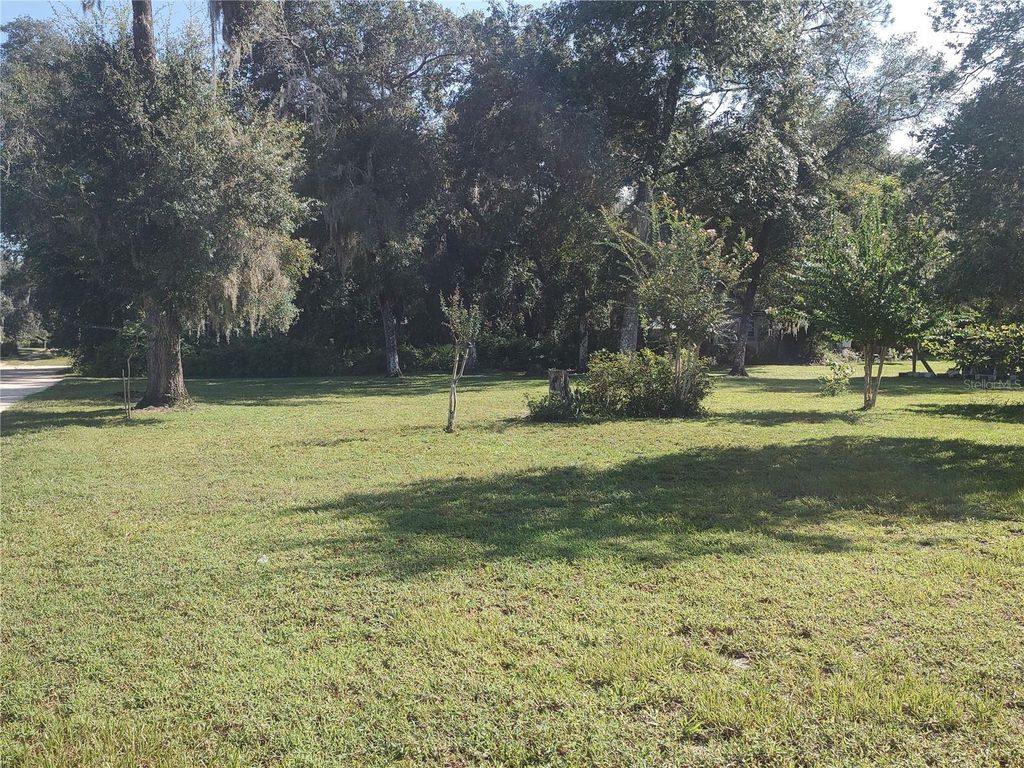Photo of 11360 SE 188th Avenue, Ocklawaha, FL 32179 (MLS # O6335187)