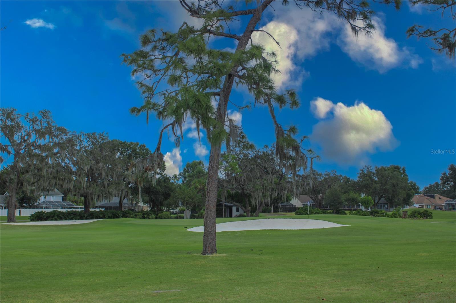 BUCKHORN SECOND ADD UNIT - Residential