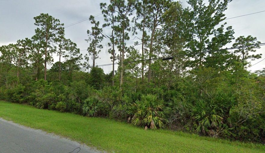 Build your dream home on this beautiful 1.52-acre lot located in the desirable community of Wedgefield, also known as Cape Orlando Estates. Situated on a quiet stretch of Peabody Street, this parcel offers 105 feet of frontage and 660 feet of depth, providing ample space and privacy for a custom estate home. Zoned RU-1-11 (Single-Family Residential), the property allows room for a detached garage, pool, workshop, or even a private family compound. Wedgefield is a growing golf course community with optional HOA, featuring a clubhouse, parks, playgrounds, and miles of scenic nature. Enjoy peaceful country living while being just minutes from SR-520, SR-528, Orlando International Airport, Lake Nona Medical City, and the beaches. Bring your builder—lots this size on paved roads are hard to find!