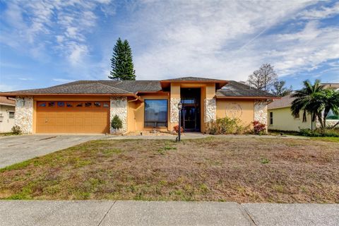 A home in NEW PORT RICHEY