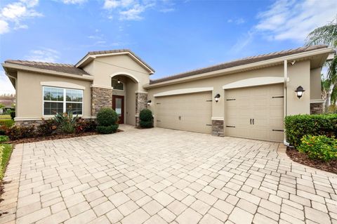 A home in WESLEY CHAPEL