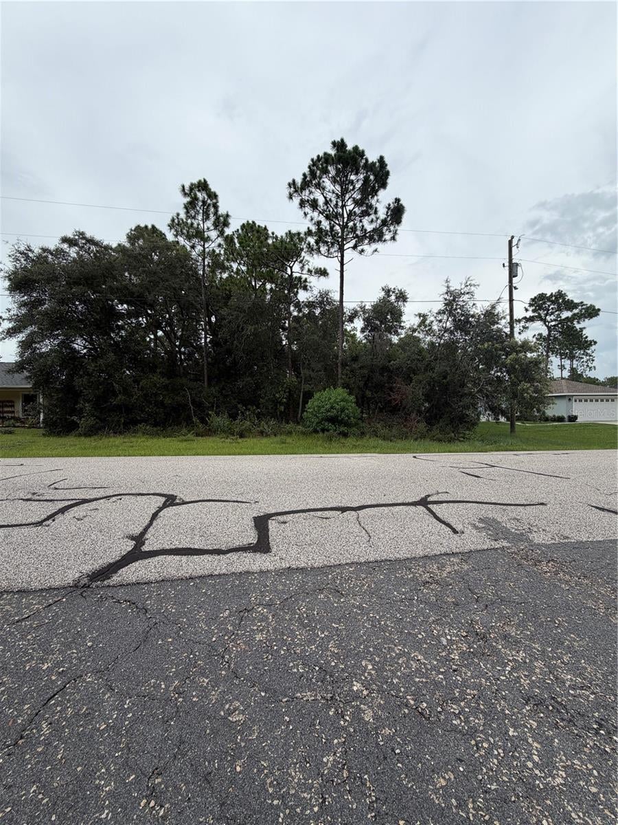 Photo of 3289 W Viking Lane, Citrus Springs, FL 34433 (MLS # G5115473)