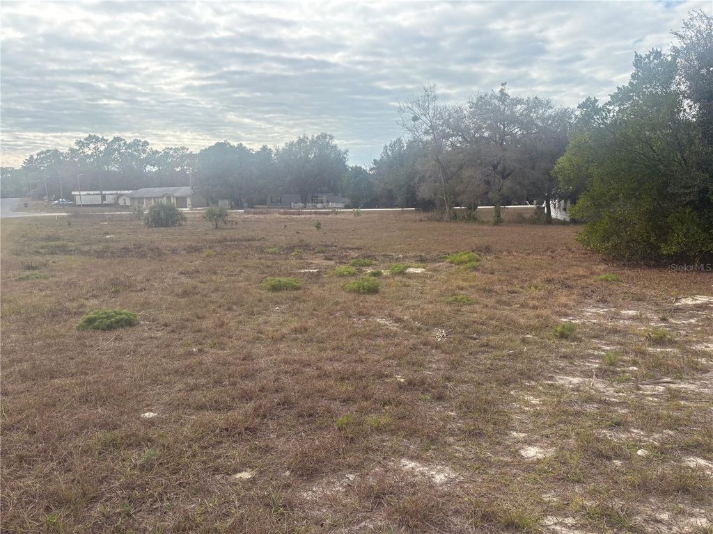 Photo of Indian Trail Road, Weeki Wachee, FL 34613 (MLS # C7522301)