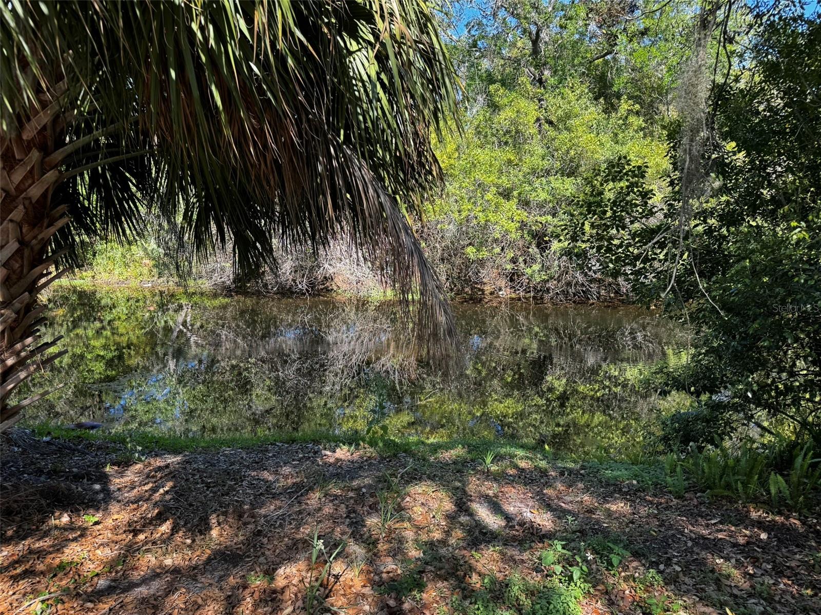 BEACON WOODS VILLAGE - Residential