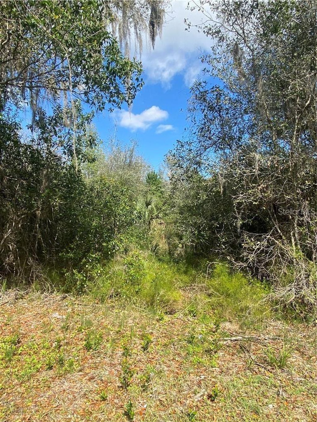 Photo of W Beresford Road, Deland, FL 32720 (MLS # V4941057)