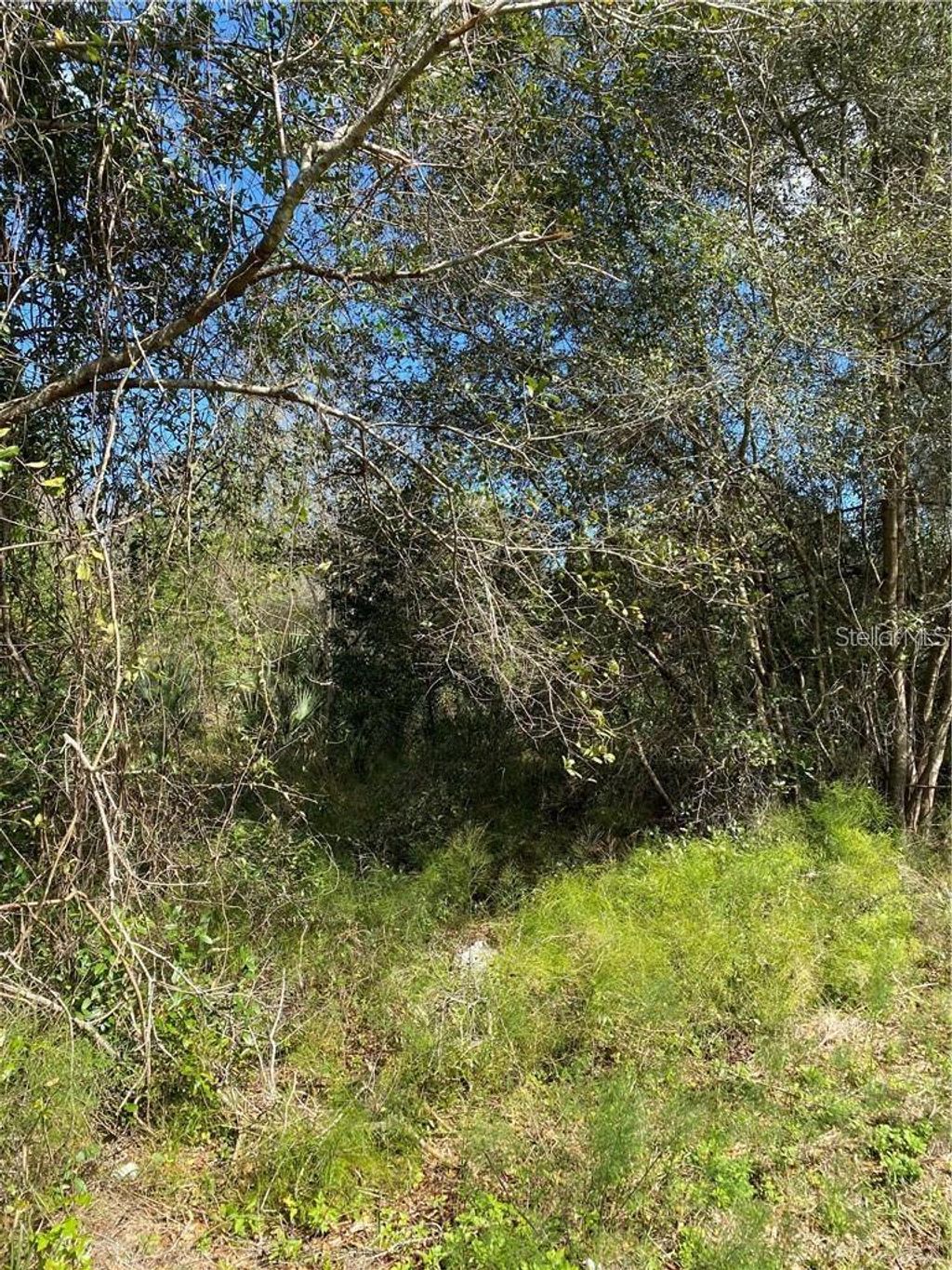 Photo of W Beresford Road, Deland, FL 32720 (MLS # V4941057)
