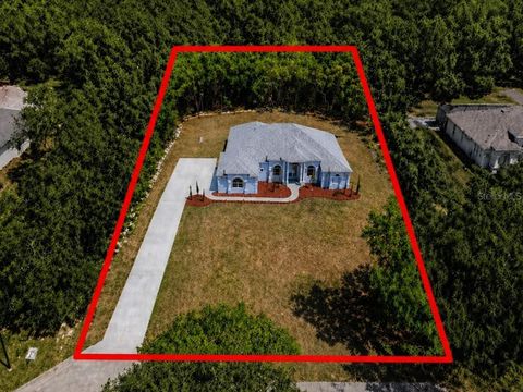 Tiny photo for 421 W Chase Street, Hernando, FL 34442 (MLS # G5110368)