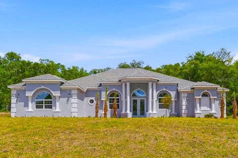 Tiny photo for 421 W Chase Street, Hernando, FL 34442 (MLS # G5110368)
