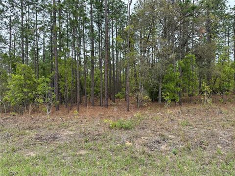 Photo of SW 125th Court Rd, Dunnellon, FL 34432 (MLS # OM722707)