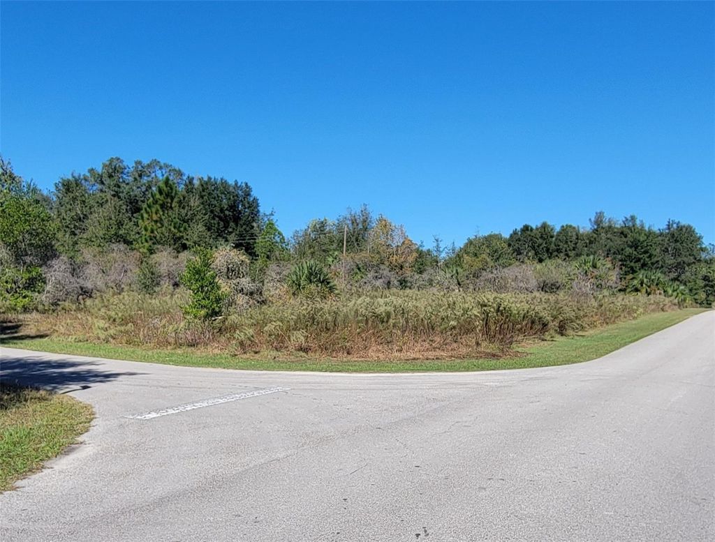 Photo of 0 SW 82nd Place, Dunnellon, FL 34431 (MLS # OM712653)