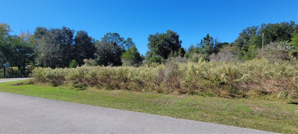 Photo of 0 SW 82nd Place, Dunnellon, FL 34431 (MLS # OM712653)