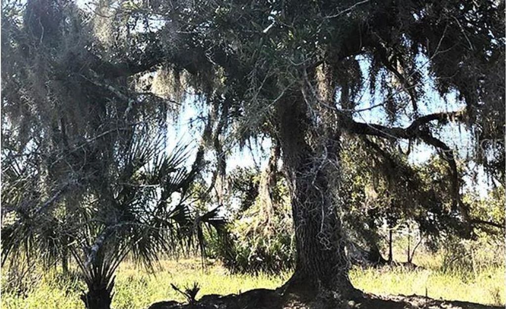 Photo of Hwy 60 E, Lake Wales, FL 33898 (MLS # O6270344)