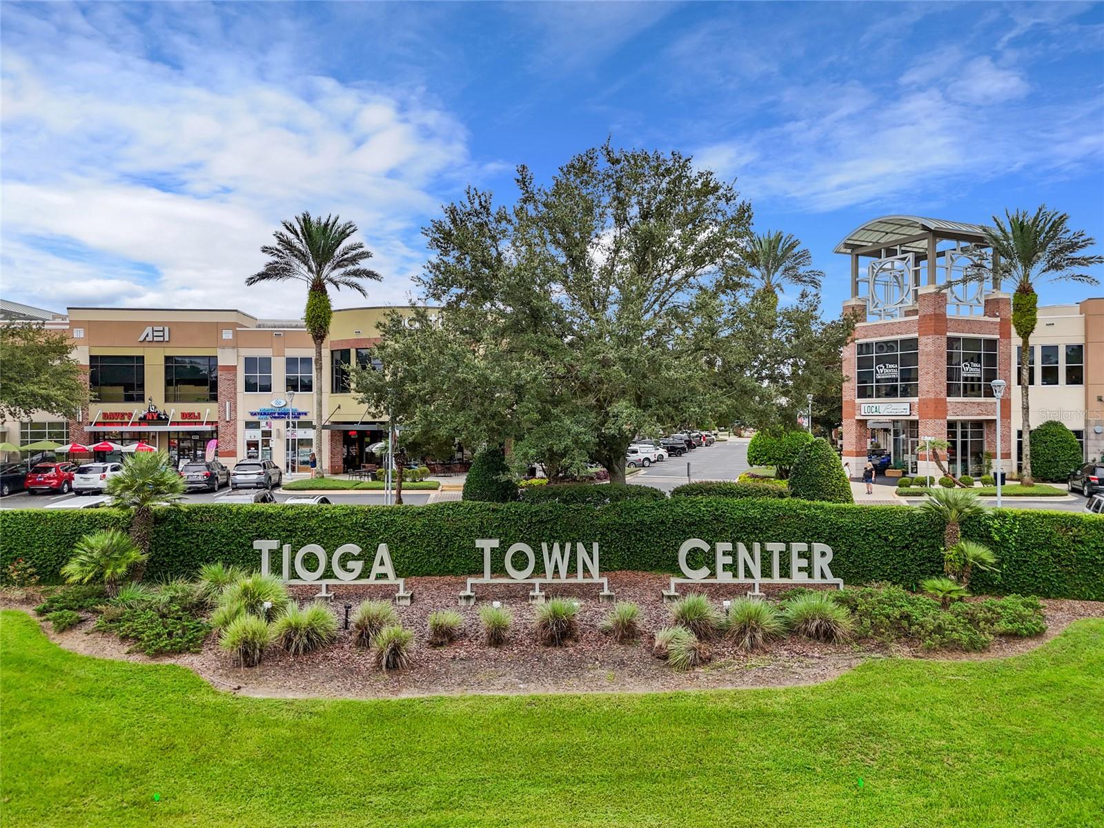 TOWN OF TIOGA PH 19 PB 36 PG 68 - Residential