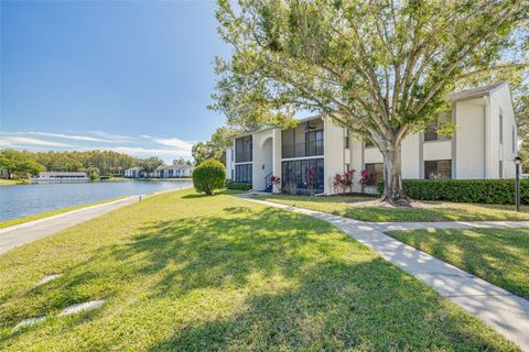 1143 PINE RIDGE CIRCLE W C1 TARPON SPRINGS FL 34688