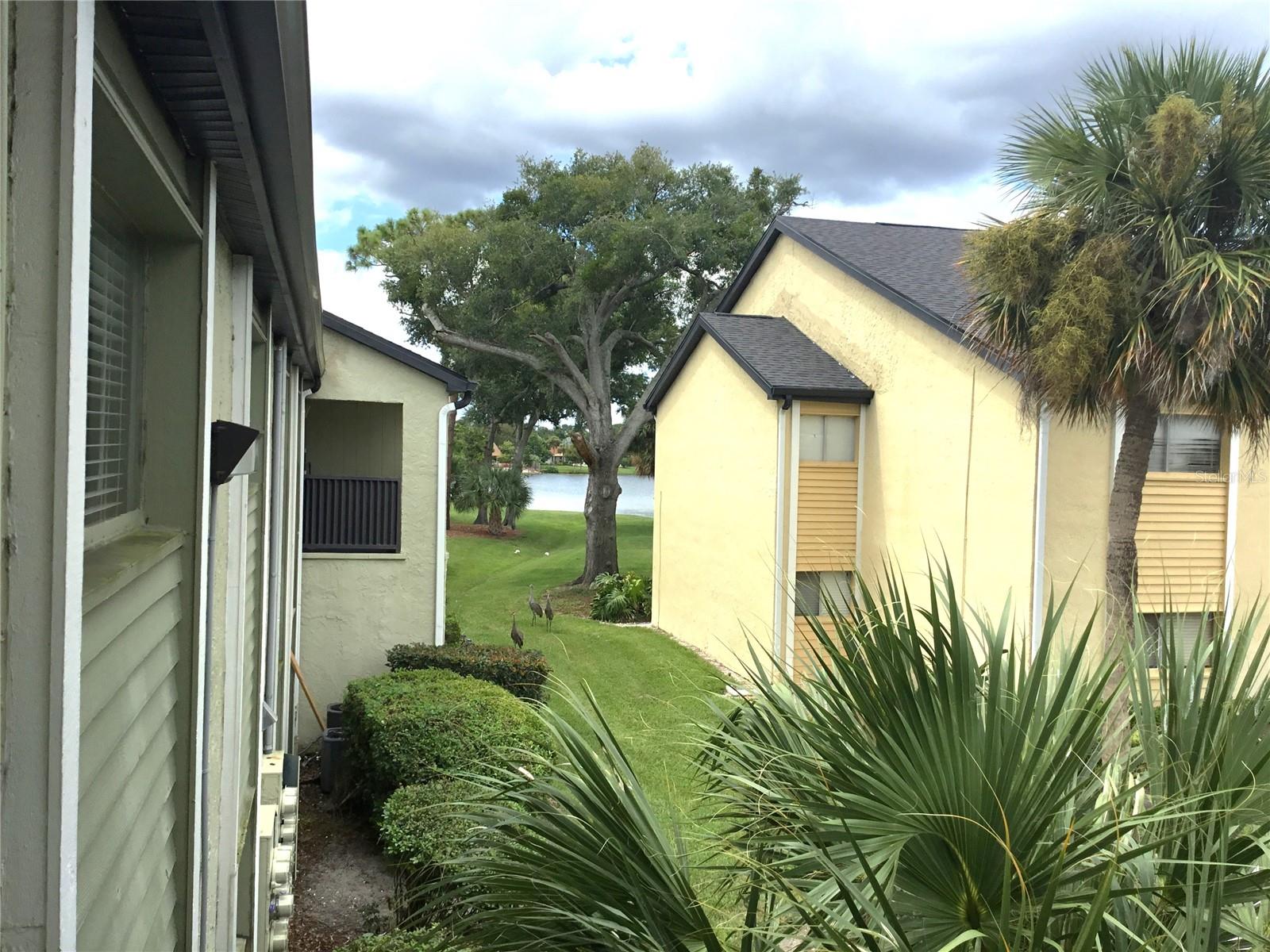 DESTINY SPGS CONDO - Residential