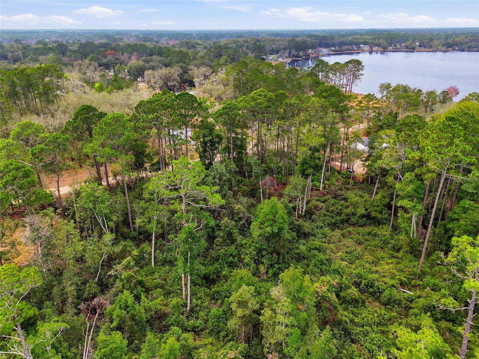 INTERLACHEN LAKES ESTATES - Land