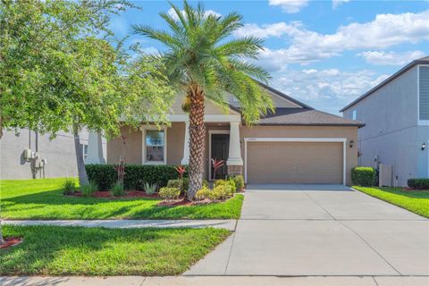 13932 PAINTED BUNTING LN RIVERVIEW FL 33579