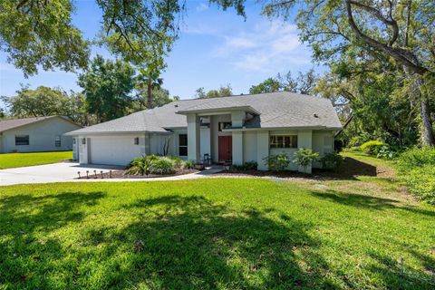 18663 AUTUMN LAKE BOULEVARD HUDSON FL 34667