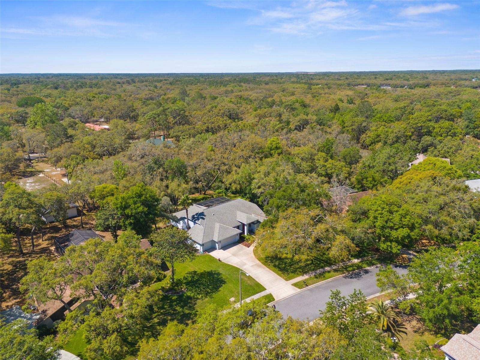 18663 AUTUMN LAKE BOULEVARD