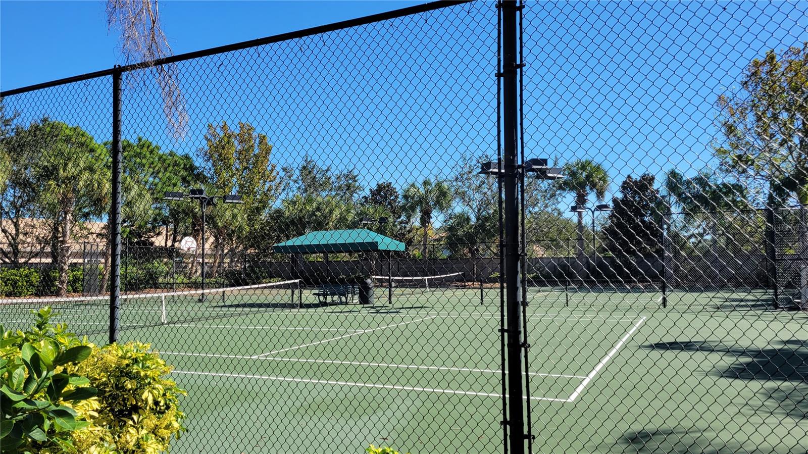 SAN MICHELE AT UNIVERSITY COMMONS - Residential Lease