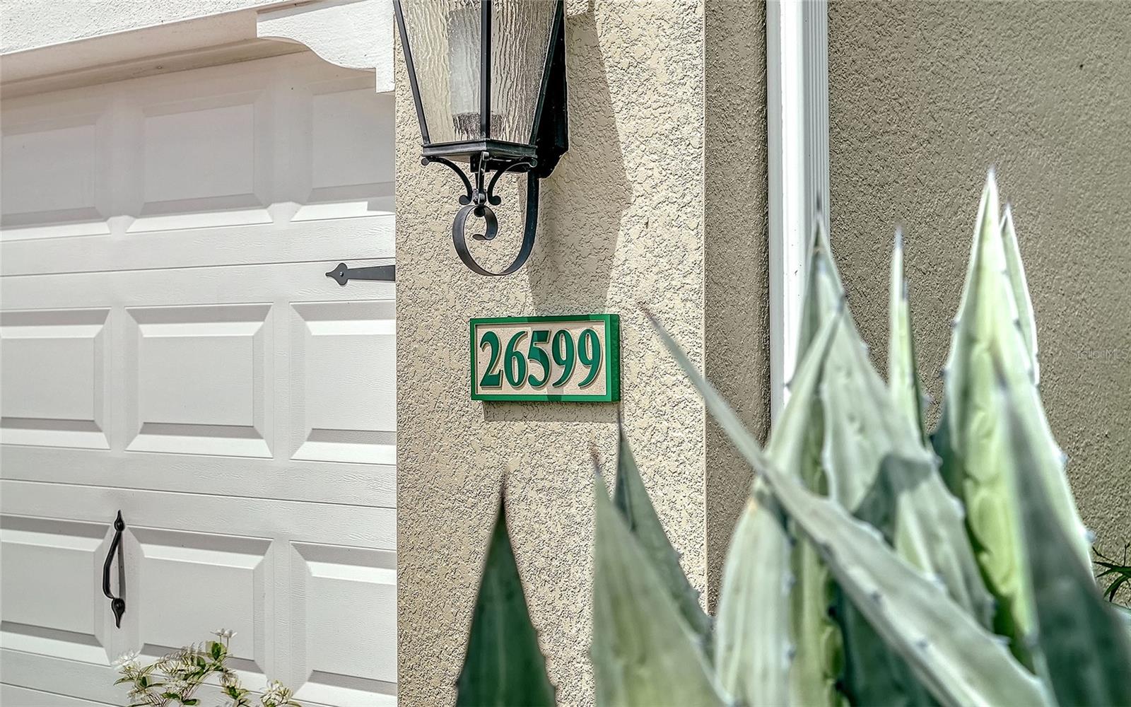 26599 RAPHIS ROYALE BOULEVARD