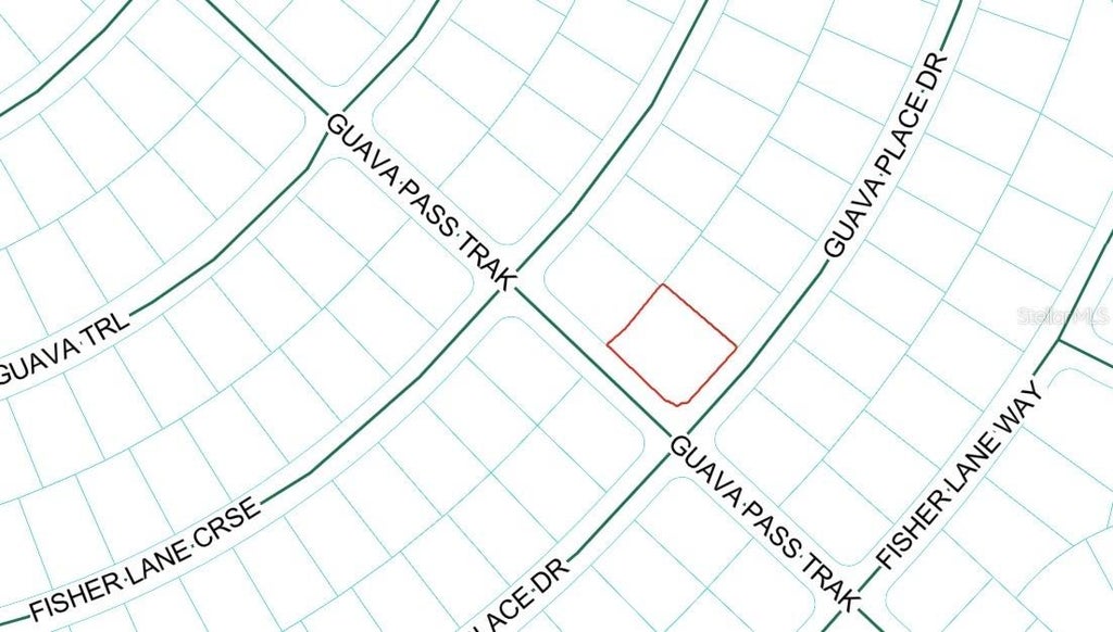 Photo of Guava Place Drive, Ocklawaha, FL 32179 (MLS # OM729771)