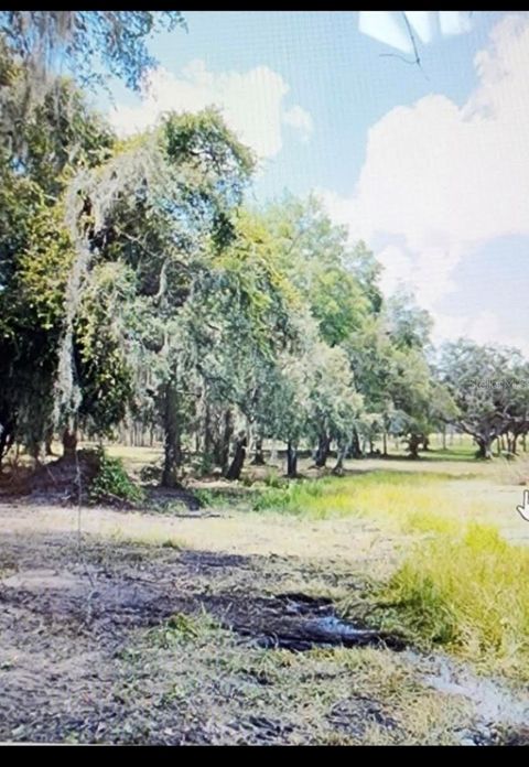 TBD SE STATE ROAD WEIRSDALE FL 32195