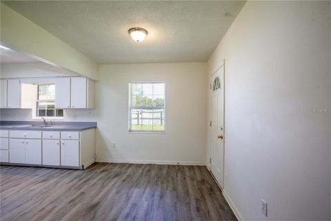 Tiny photo for 25525 Colmar Avenue, Sorrento, FL 32776 (MLS # G5102783)