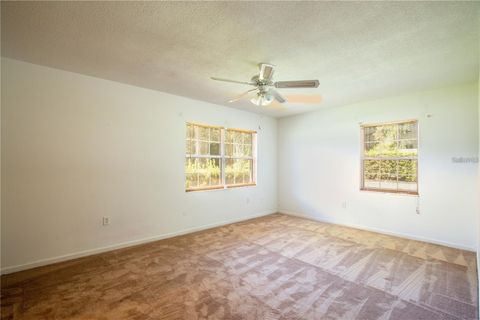 Tiny photo for 25525 Colmar Avenue, Sorrento, FL 32776 (MLS # G5102783)