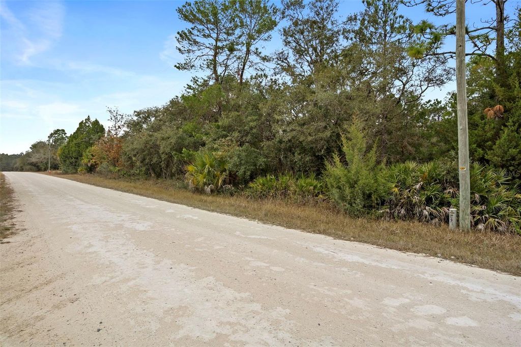Photo of 10021 Yellowback Road, Weeki Wachee, FL 34614 (MLS # W7881375)