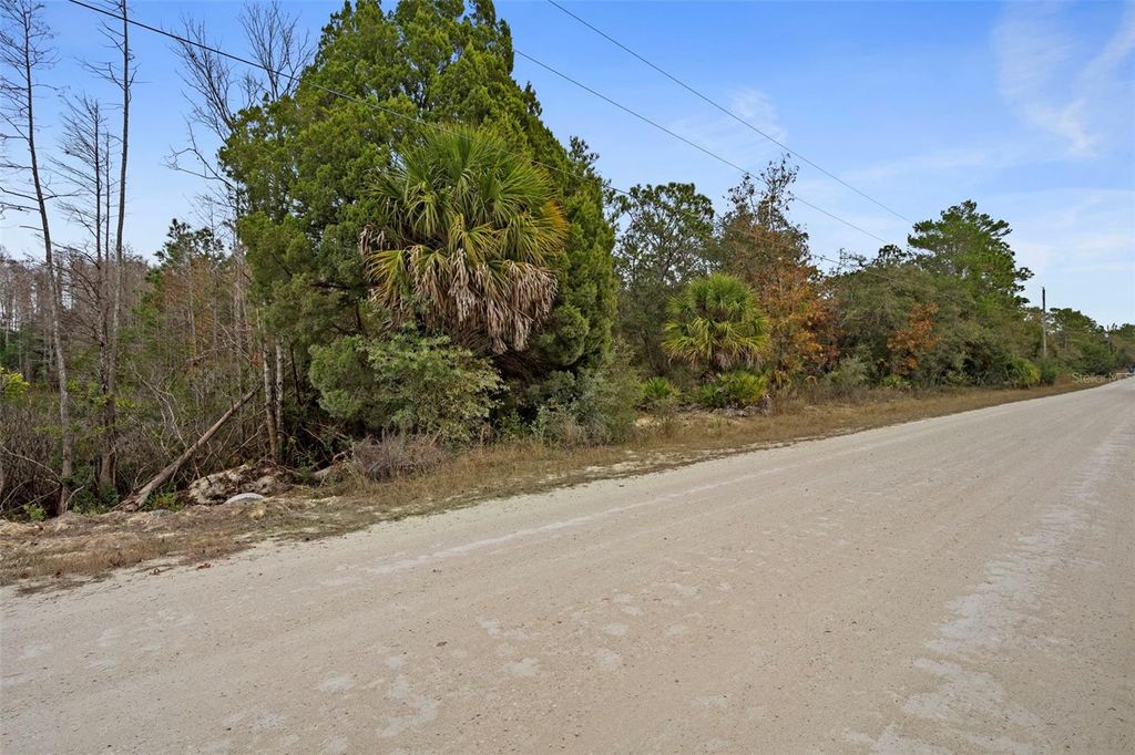 Photo of 10021 Yellowback Road, Weeki Wachee, FL 34614 (MLS # W7881375)