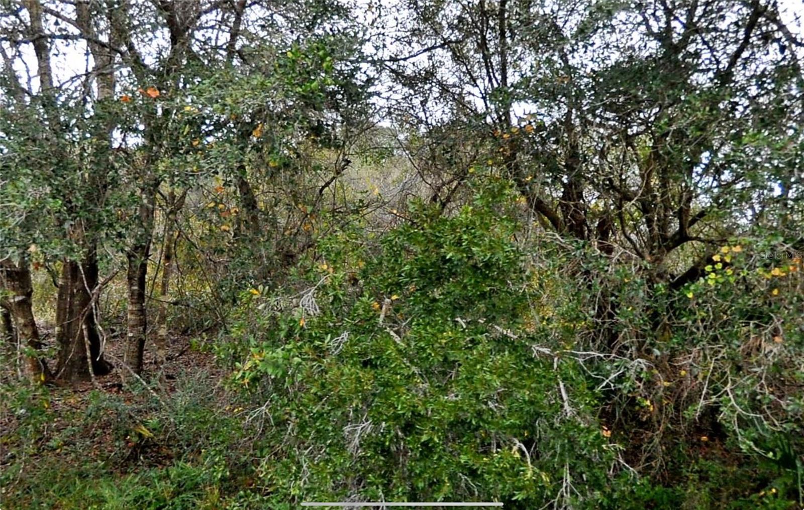Explore this vacant lot in the growing city of North Port, located in desirable Flood Zone X, which requires no flood insurance, adding extra value and peace of mind for future development! Positioned near key highways, shopping, and dining, this lot offers an excellent investment potential in a fast-growing area. This property promises long-term appreciation with the charm of SW Florida living all around. Don’t miss out on securing your piece of paradise in this up-and-coming area! (Adjacent Lot 18 is also for sale separately)