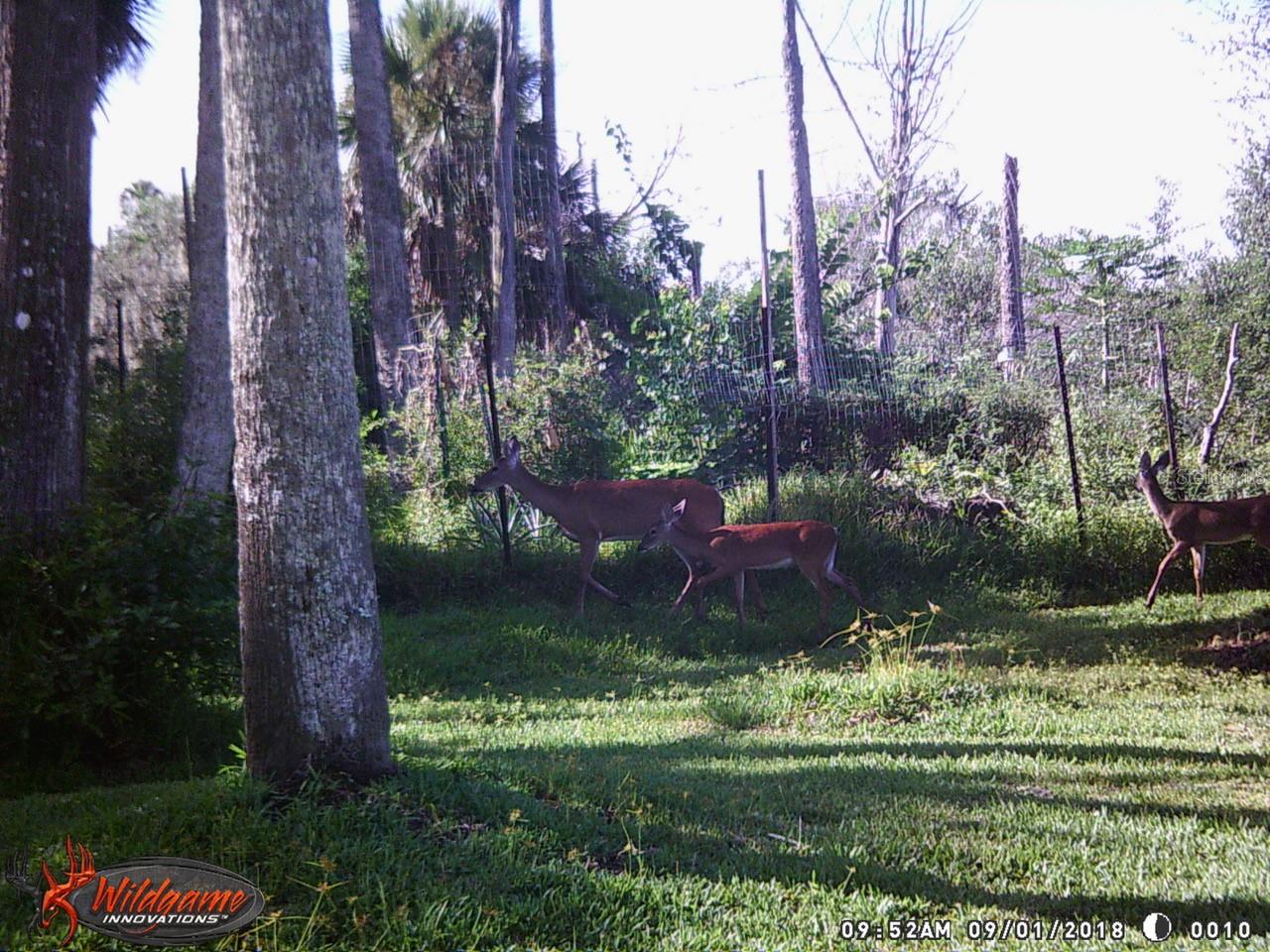 ESTATES GRAND HAVEN PH I - Land