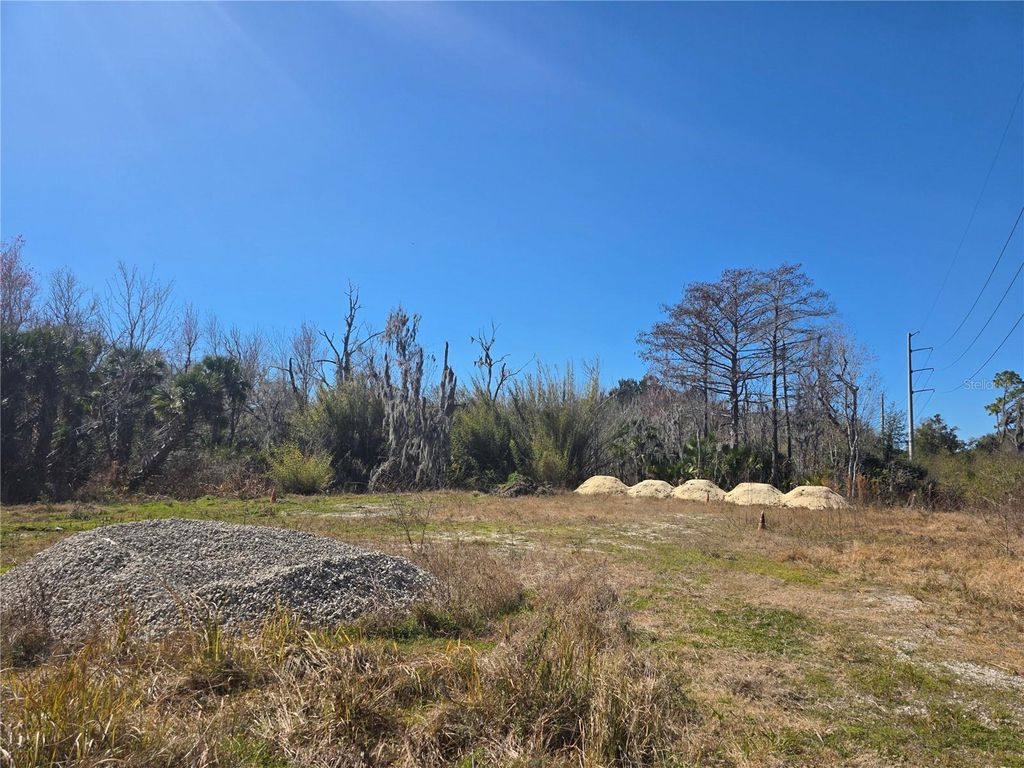 Photo of 470 N State Road 415, Osteen, FL 32764 (MLS # O6383577)
