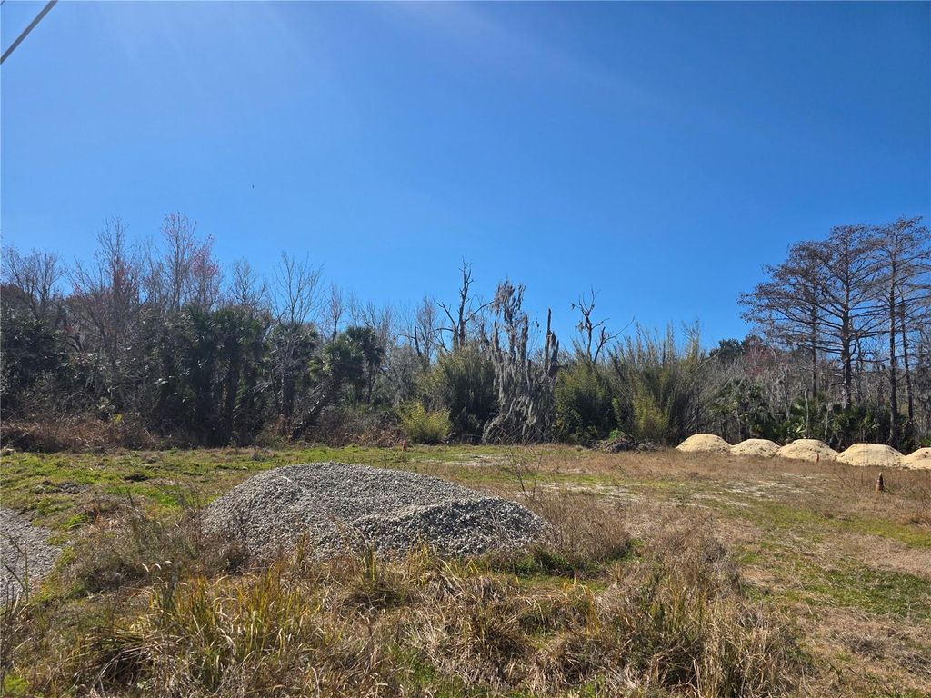 Photo of 470 N State Road 415, Osteen, FL 32764 (MLS # O6383577)
