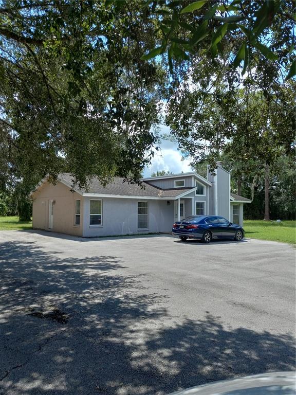 2902 W LUTZ LAKE FERN ROAD