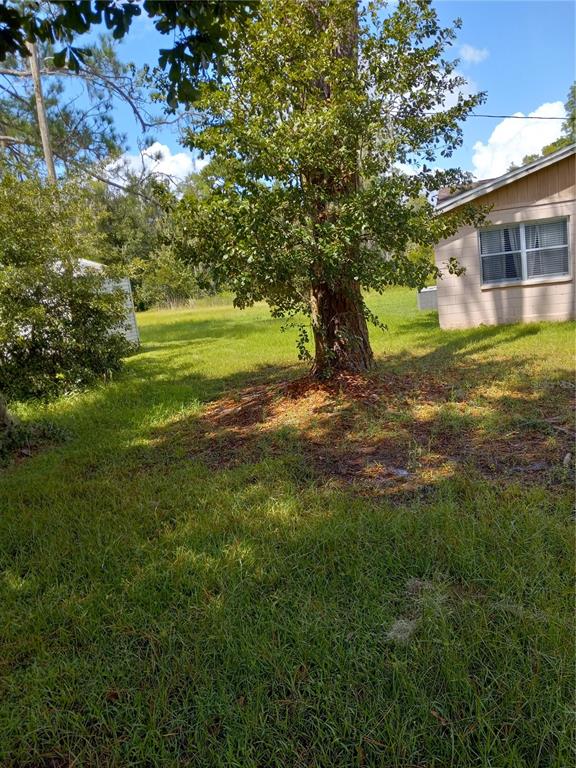2902 W LUTZ LAKE FERN ROAD