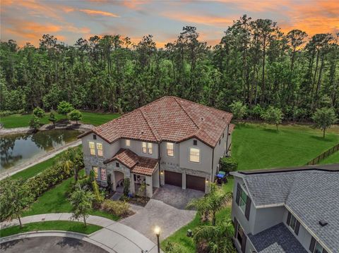 8478 ELBA ISLE COURT WINDERMERE FL 34786