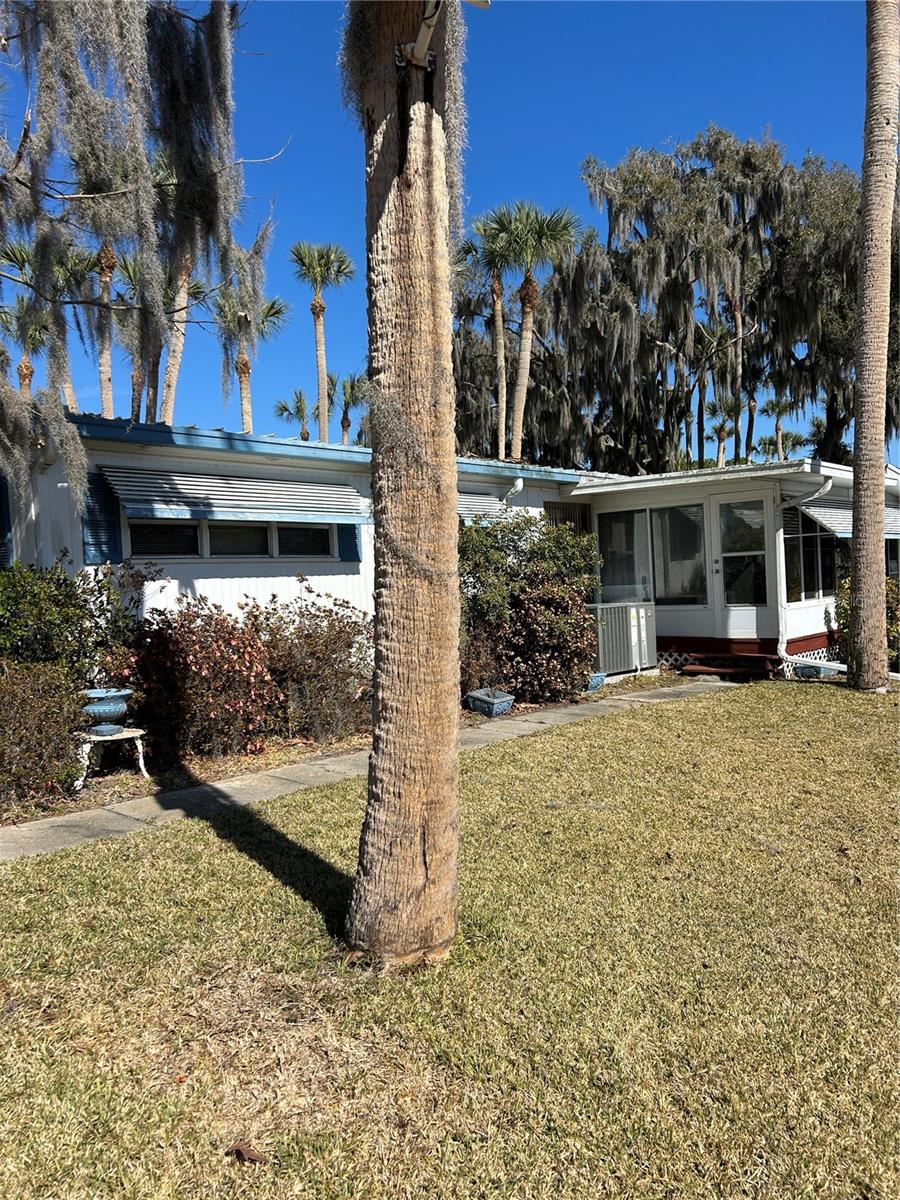 40 SABAL PALM CIRCLE