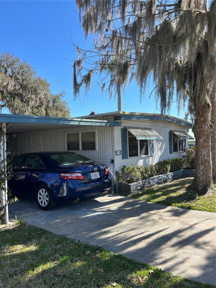 40 SABAL PALM CIRCLE