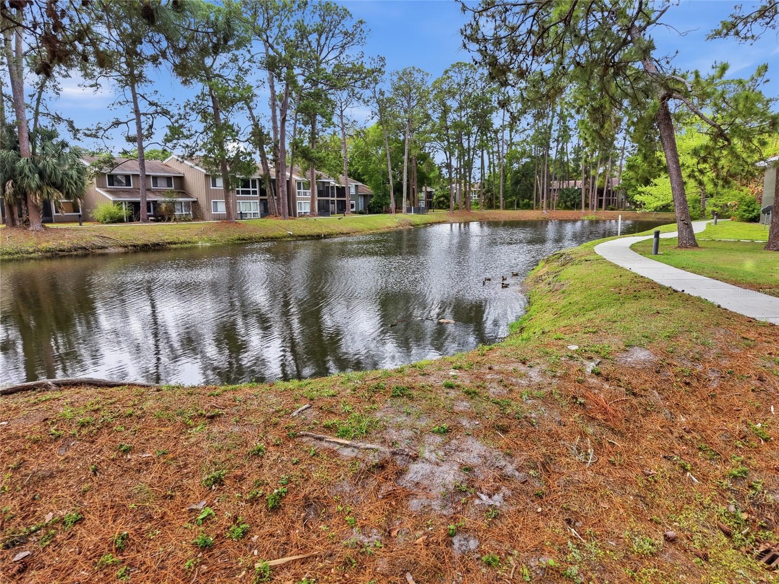 WINDHOVER CONDO - Residential