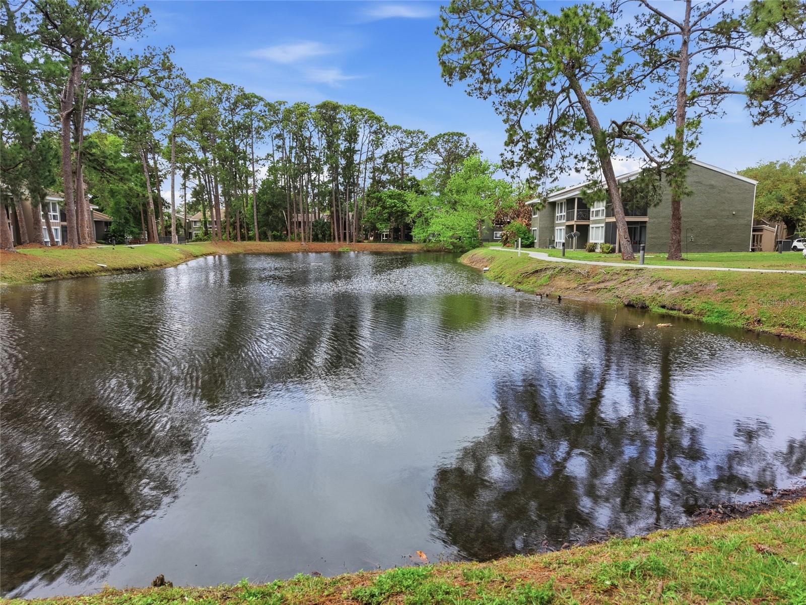 WINDHOVER CONDO - Residential