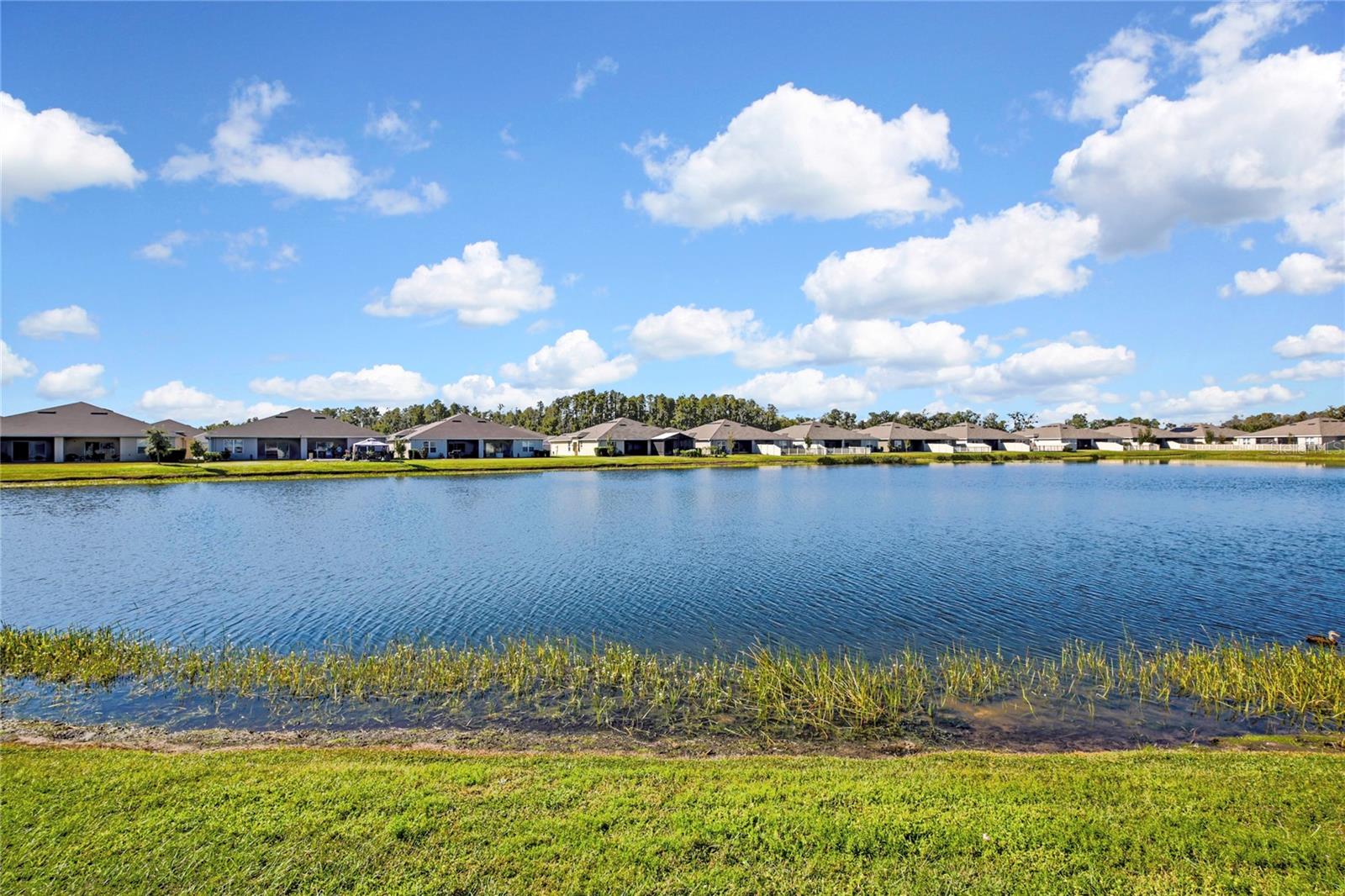 CYPRESS PRESERVE - Residential