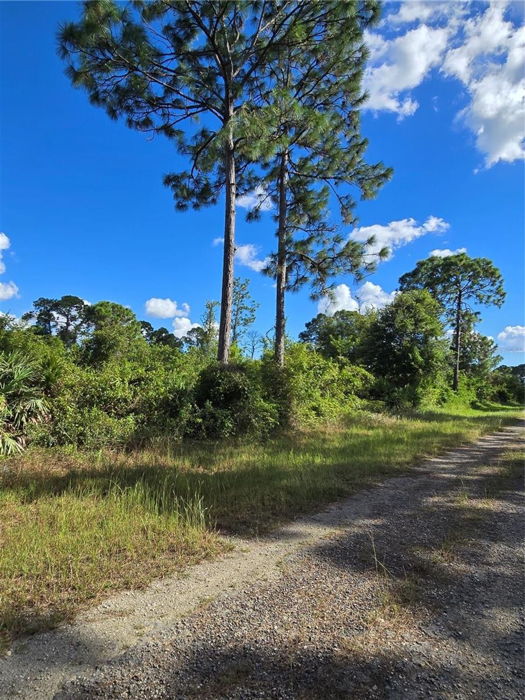 Photo of 421 Wilder Avenue S, Lehigh Acres, FL 33974 (MLS # O6354605)