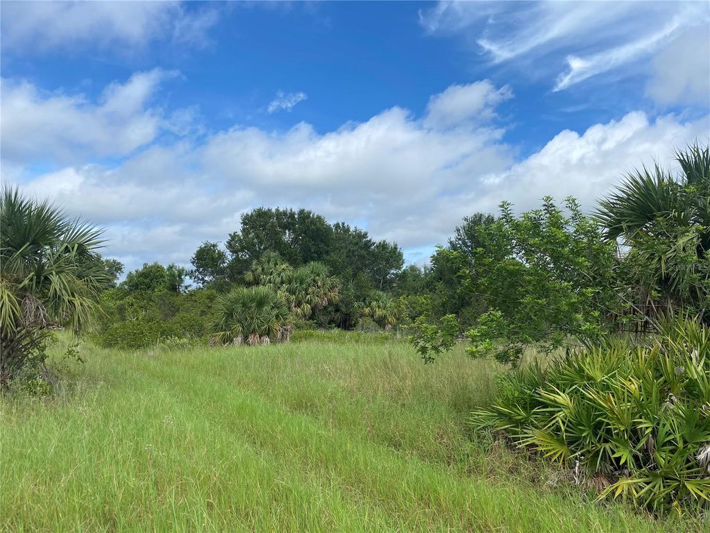 Photo of 2369 Dumont Drive, Punta Gorda, FL 33983 (MLS # A4664963)