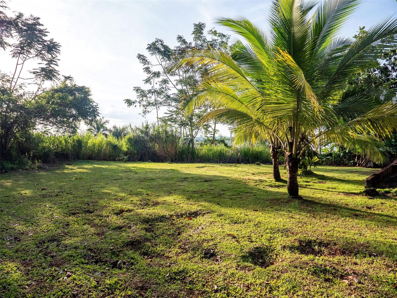 VILLAS DEL OLIMPO - Residential