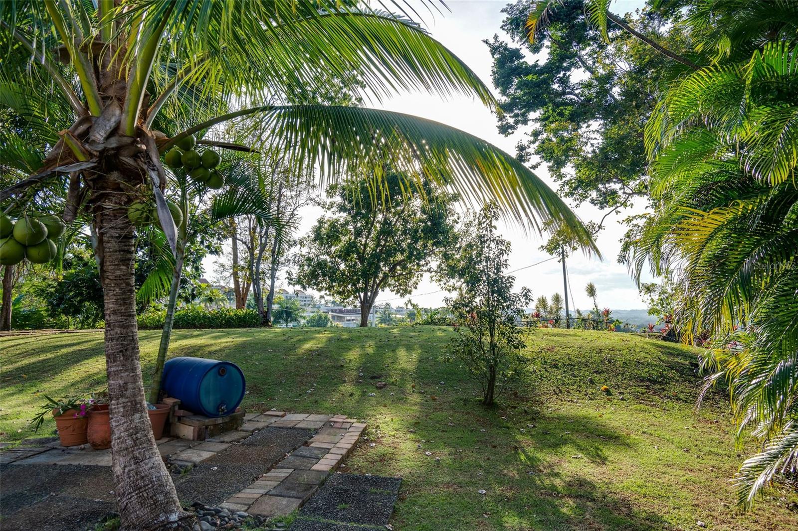 VILLAS DEL OLIMPO - Residential